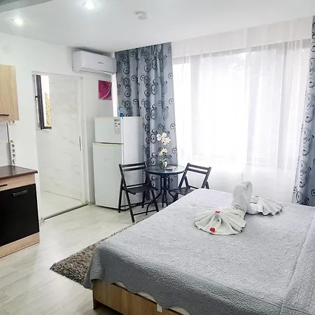 Pensiunea Red Rose Guest house 4*