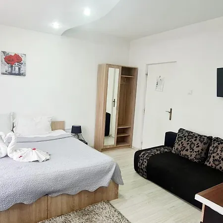 Guest house Pensiunea Red Rose Timisoara