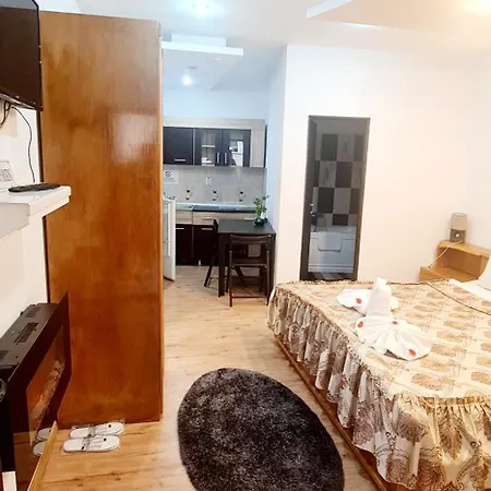 Pensiunea Red Rose Guest house Timisoara