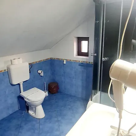 Pensiunea Red Rose Guest house 4*