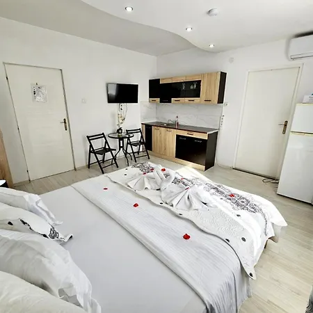 Pensiunea Red Rose Pensiune Timişoara