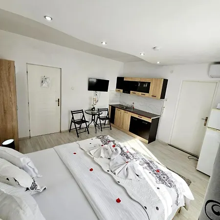 Pensiunea Red Rose Timişoara