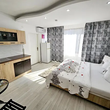 Pensiunea Red Rose Pensiune 4*