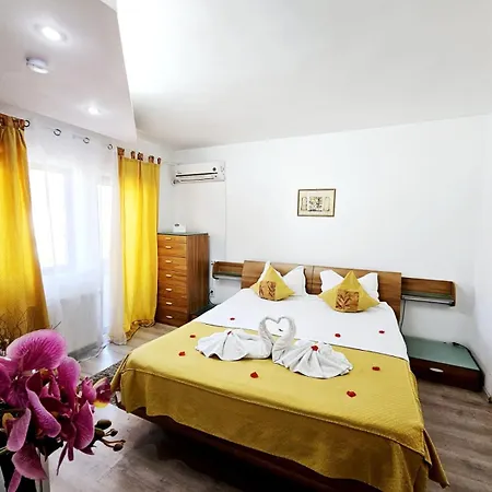 Pensiunea Red Rose 4* Timişoara