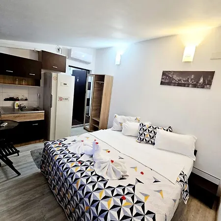 Pensiune Pensiunea Red Rose 4*