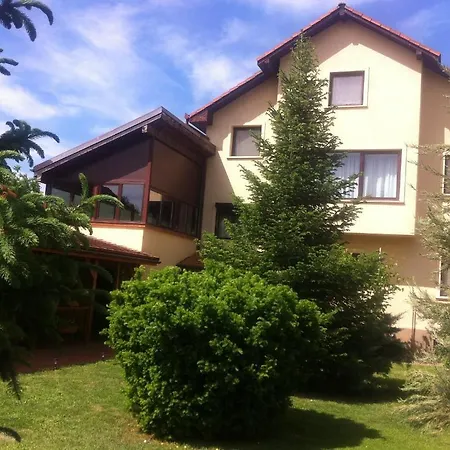 Pensiunea Red Rose Guest house Timisoara