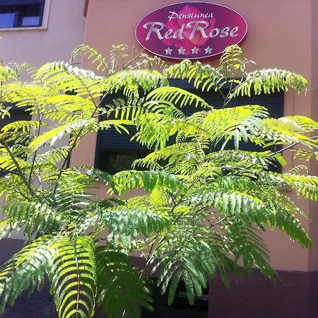 Guest house Pensiunea Red Rose Timisoara