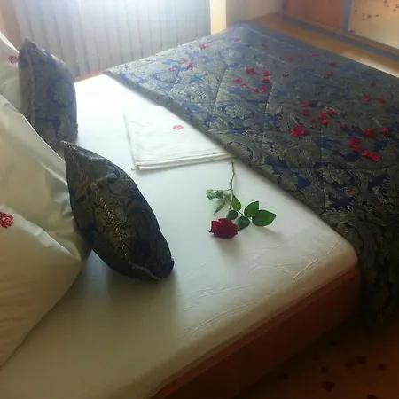 Pensiunea Red Rose Timisoara