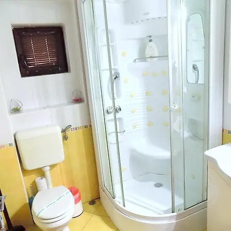 Pensiunea Red Rose 4* Timişoara