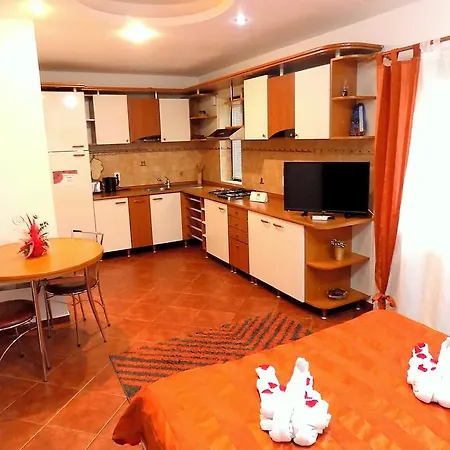 Pensiune Pensiunea Red Rose