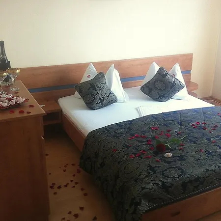 Guest house Pensiunea Red Rose 4*