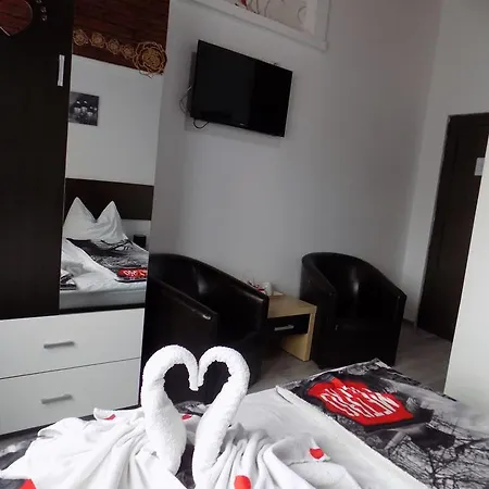 Guest house Pensiunea Red Rose