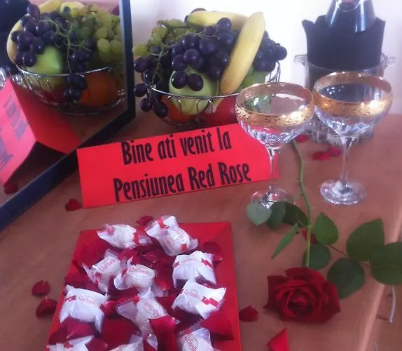 Pensiunea Red Rose Gæstehus 4*