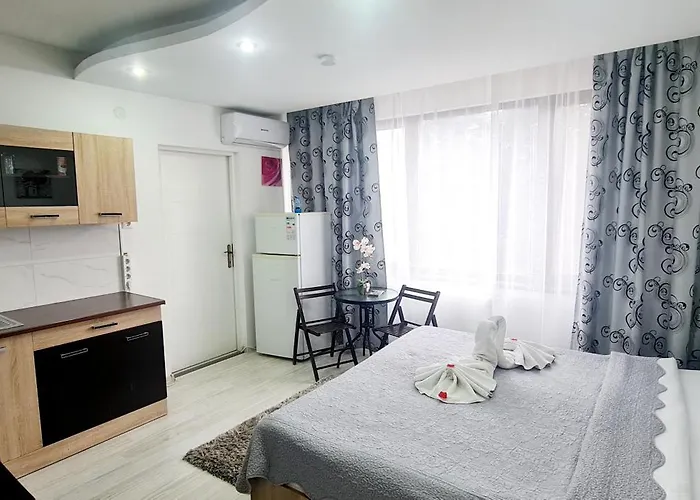 Pensiunea Red Rose 4*