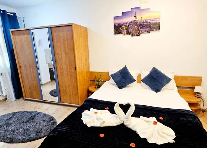 Pensiunea Red Rose Timişoara