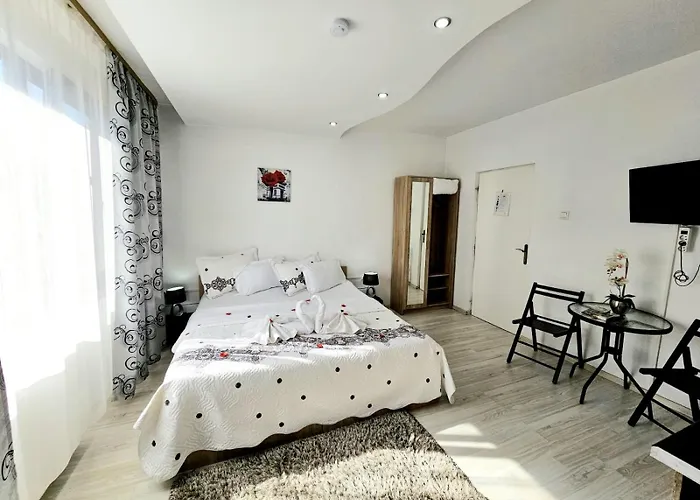 Gæstehus Pensiunea Red Rose Timişoara