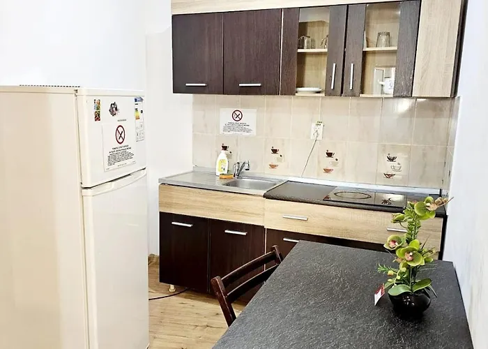 Pensiunea Red Rose Gæstehus Timişoara