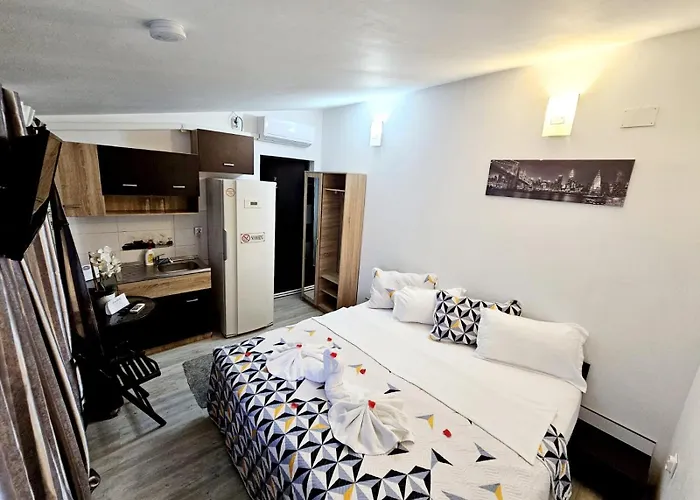 Gæstehus Pensiunea Red Rose Timişoara