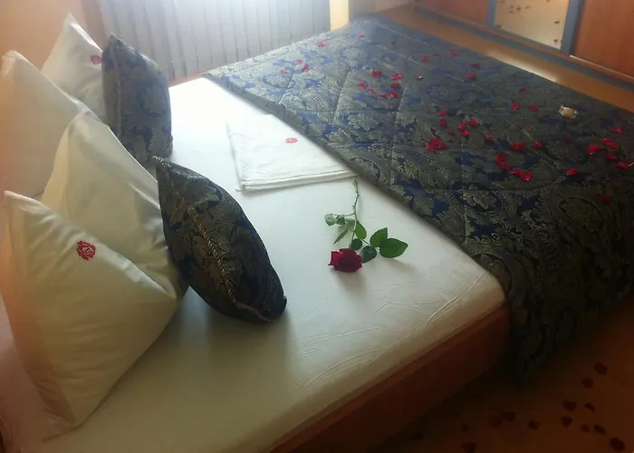 Pensiunea Red Rose Timişoara