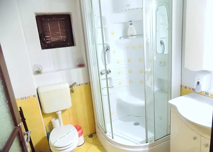 Pensiunea Red Rose 4* Timişoara