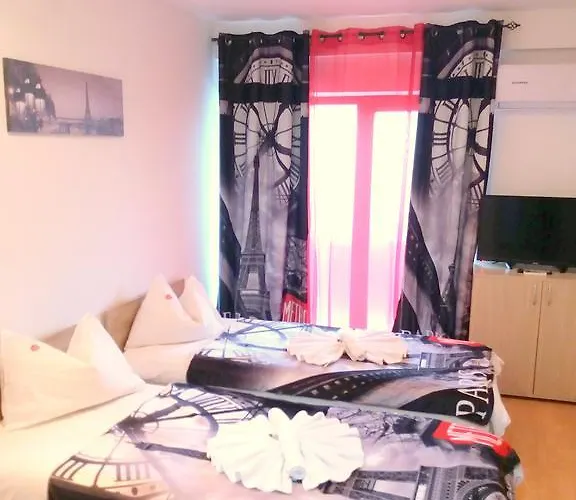 Pensiunea Red Rose Timişoara