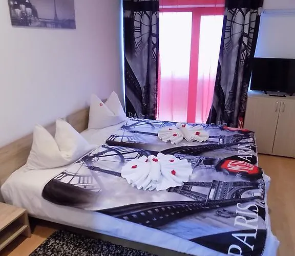 Pensiunea Red Rose Timişoara